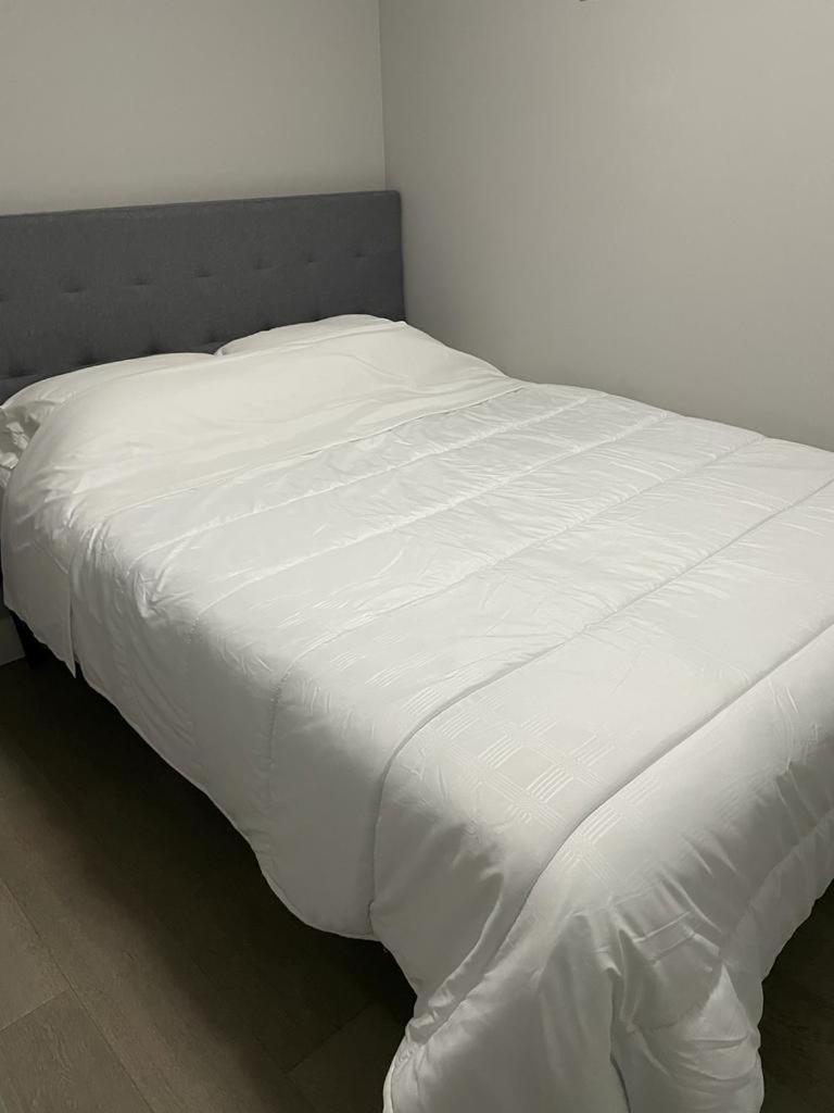 Modern West Coast Contemporary Suite