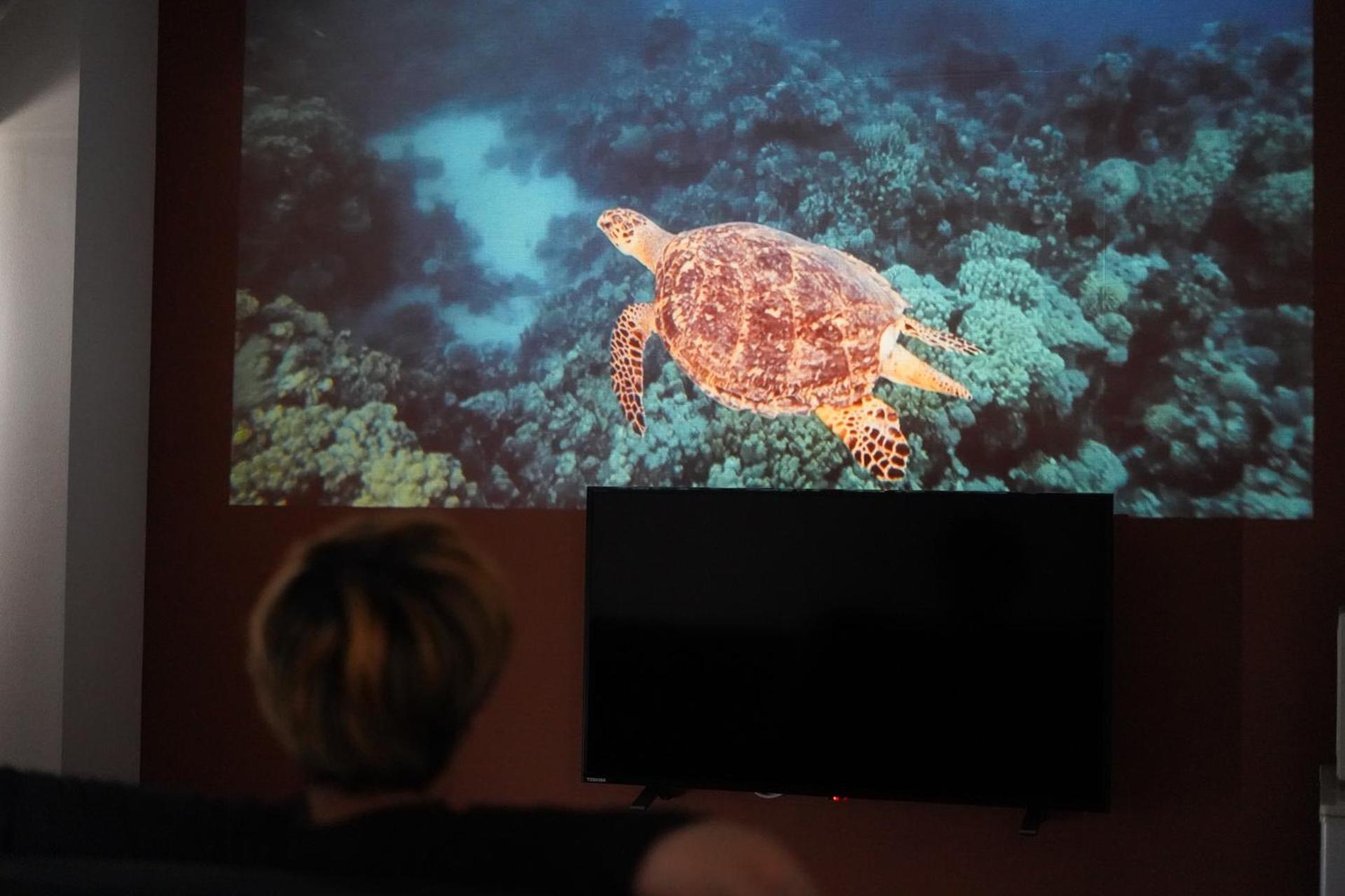 沖縄空手ホテル アイオライト豊見城