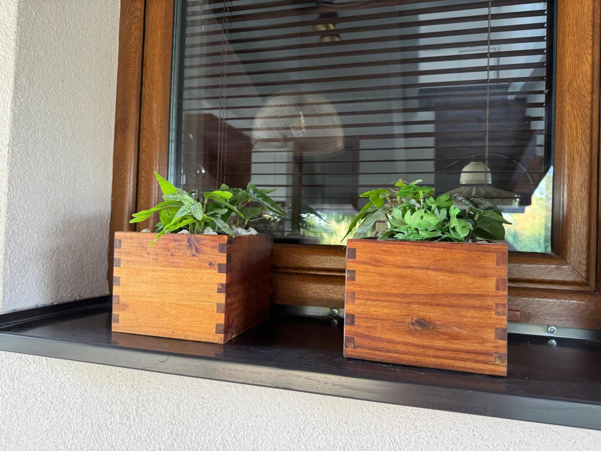 Öregvíz Vendégház