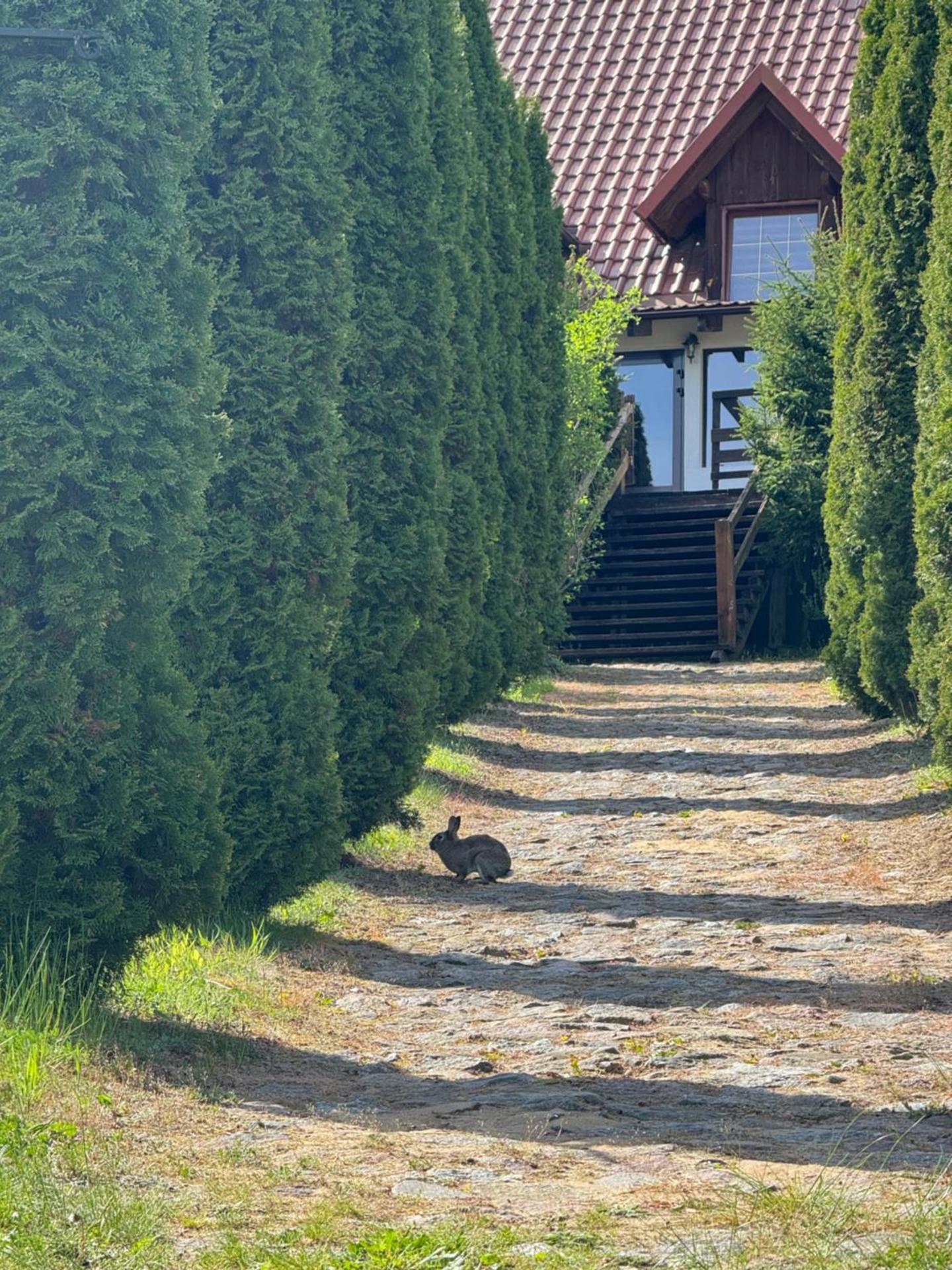 Pensjonat nad Stawami