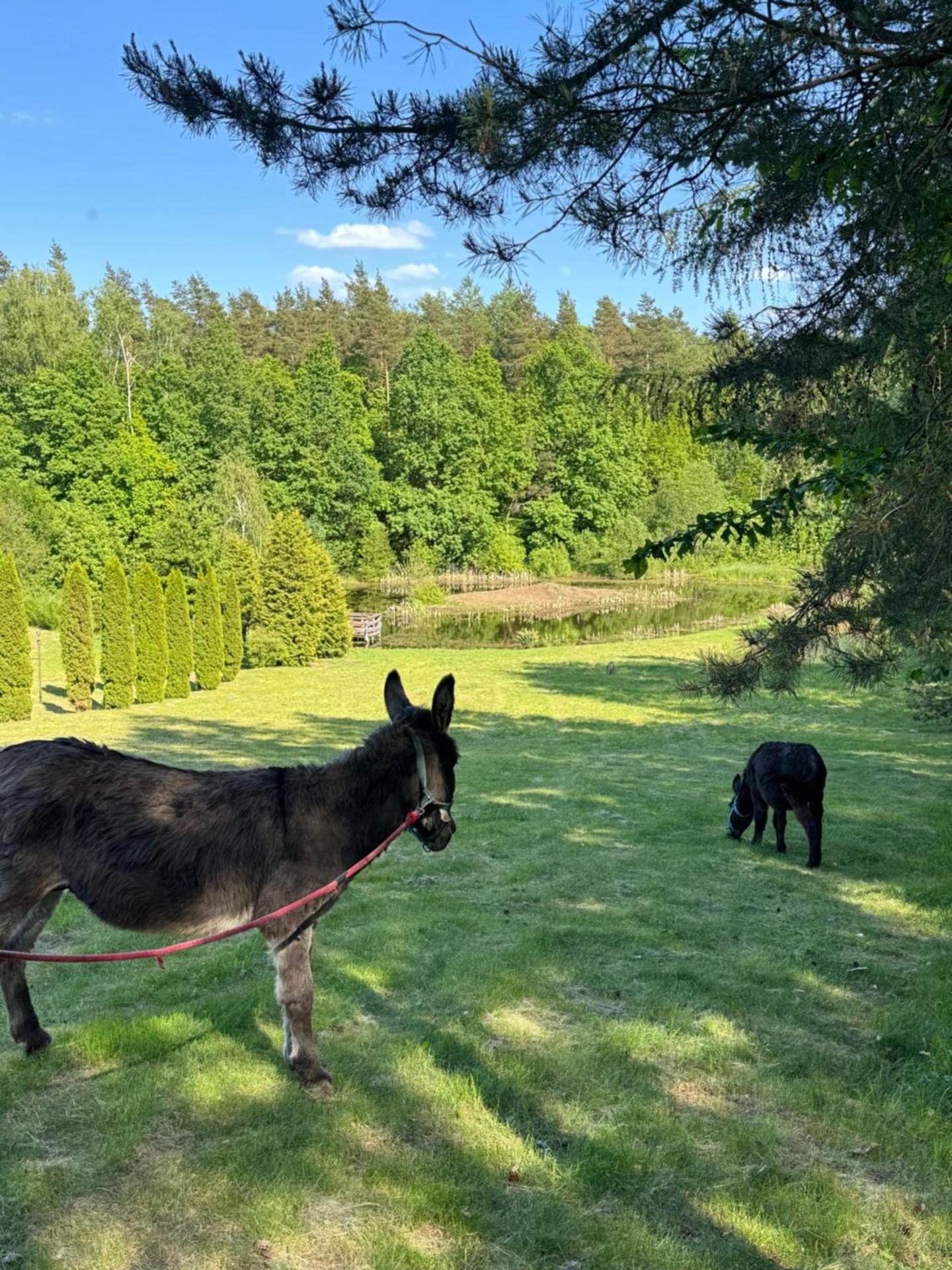 Pensjonat nad Stawami