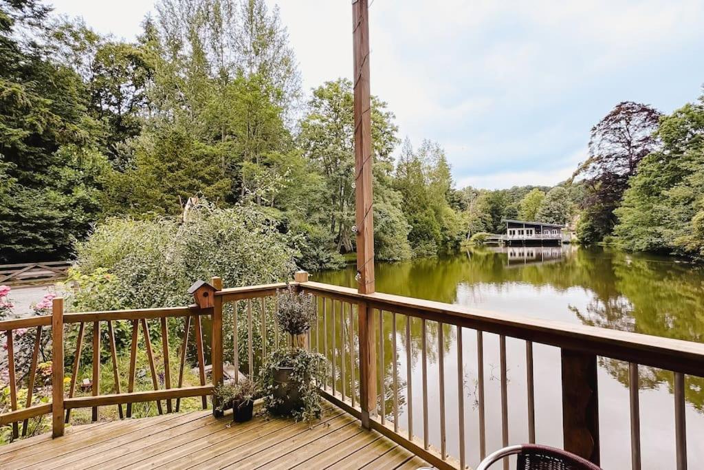 Le chant des oiseaux - Chalet