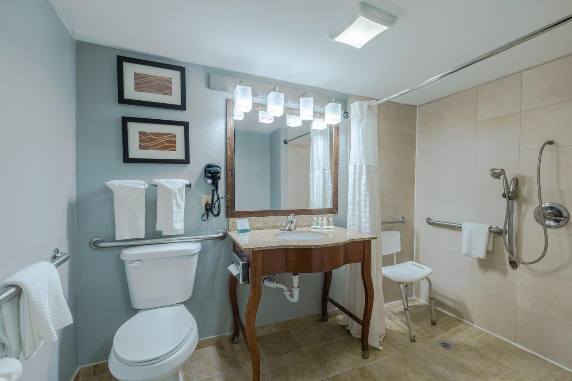 King Room - Accessible/Non-Smoking