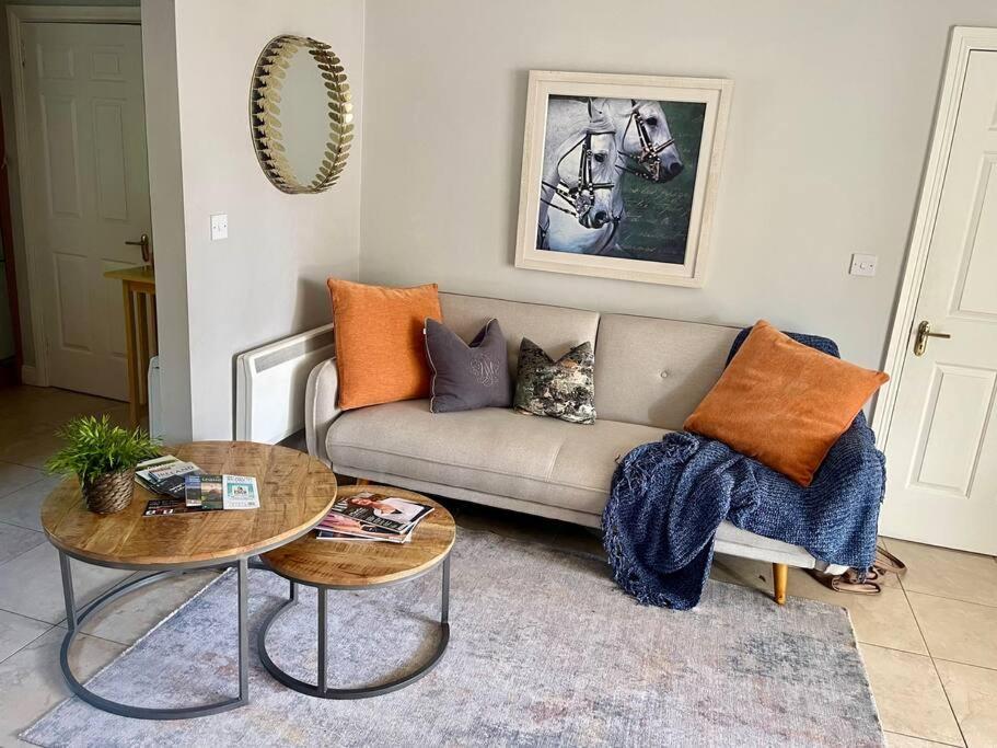 Elegant Townhouse steps from historic Birr Castle