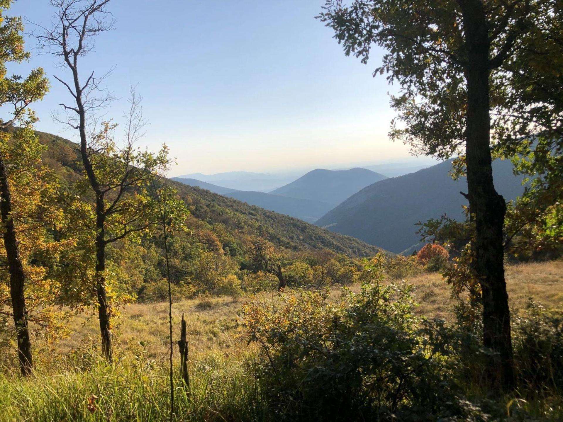 Maison de Vacances Provençale " Les Volets Verts "