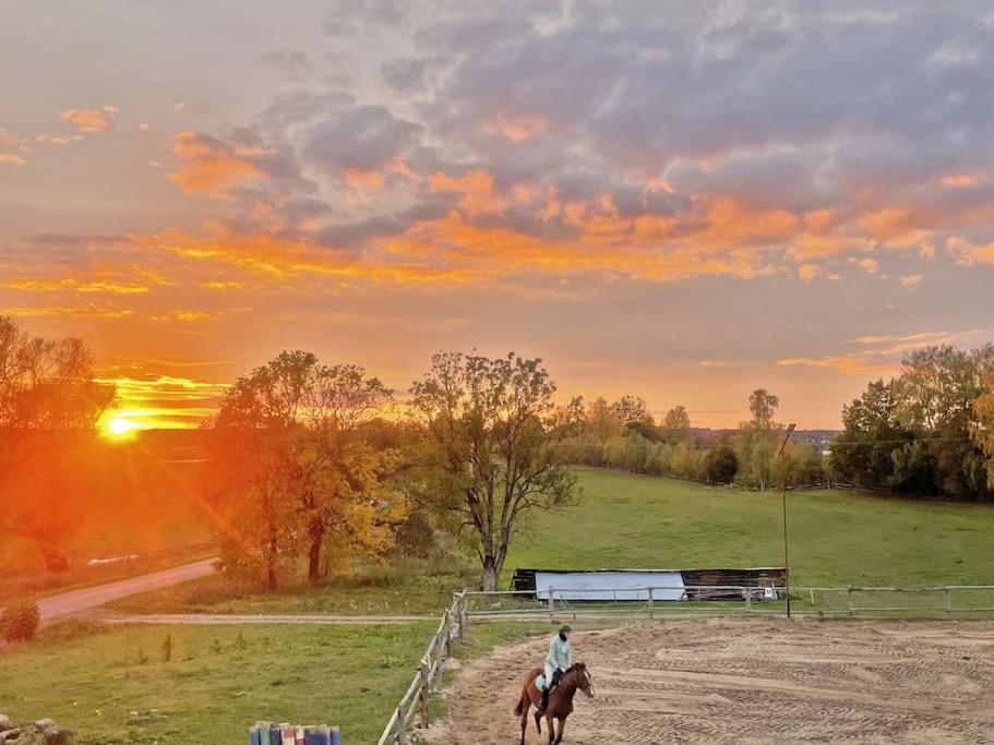 Agroturystyka Kociołek