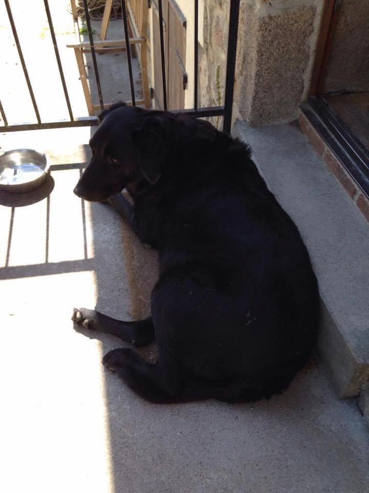 Chatelavy, Phoenix Apartment