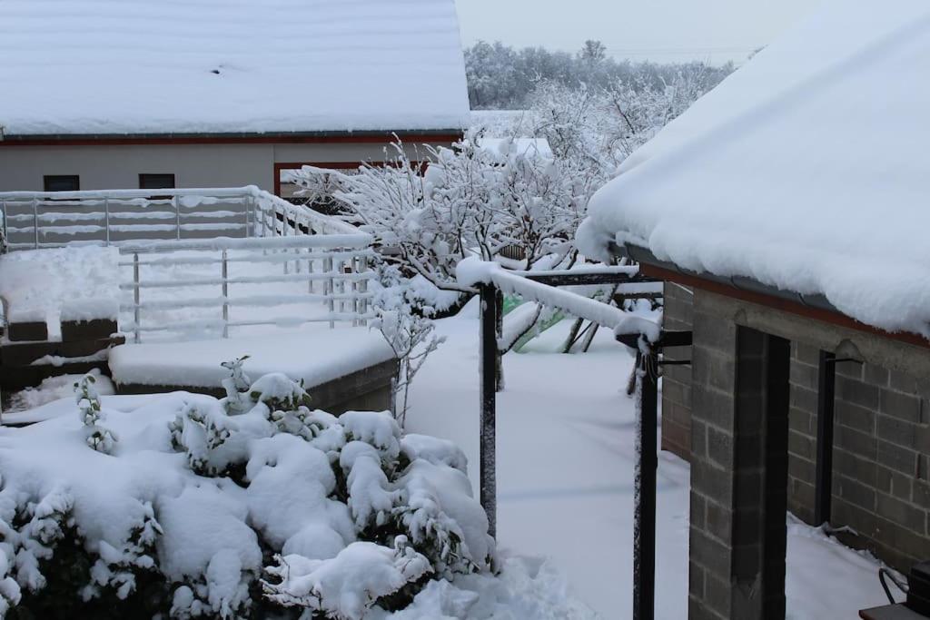 Garte Hiesel la maison de jardin Piscine été 2026