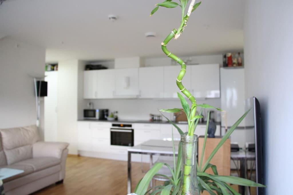 central, new, 2 bed rooms, fully furnished