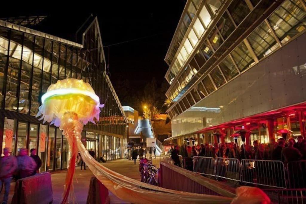 central, new, 2 bed rooms, fully furnished