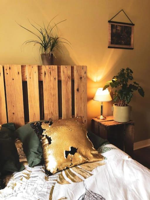 Superbe appartement T3 dans l'hyper centre