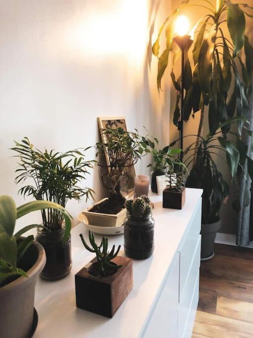 Superbe appartement T3 dans l'hyper centre