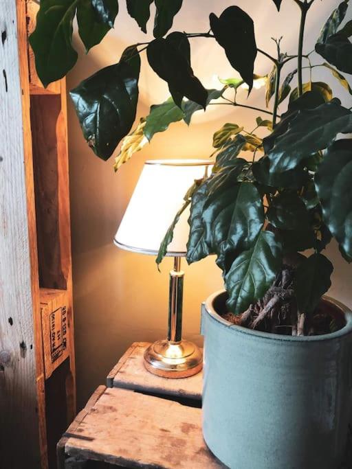 Superbe appartement T3 dans l'hyper centre