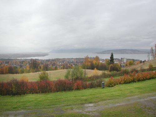 View (from property/room)