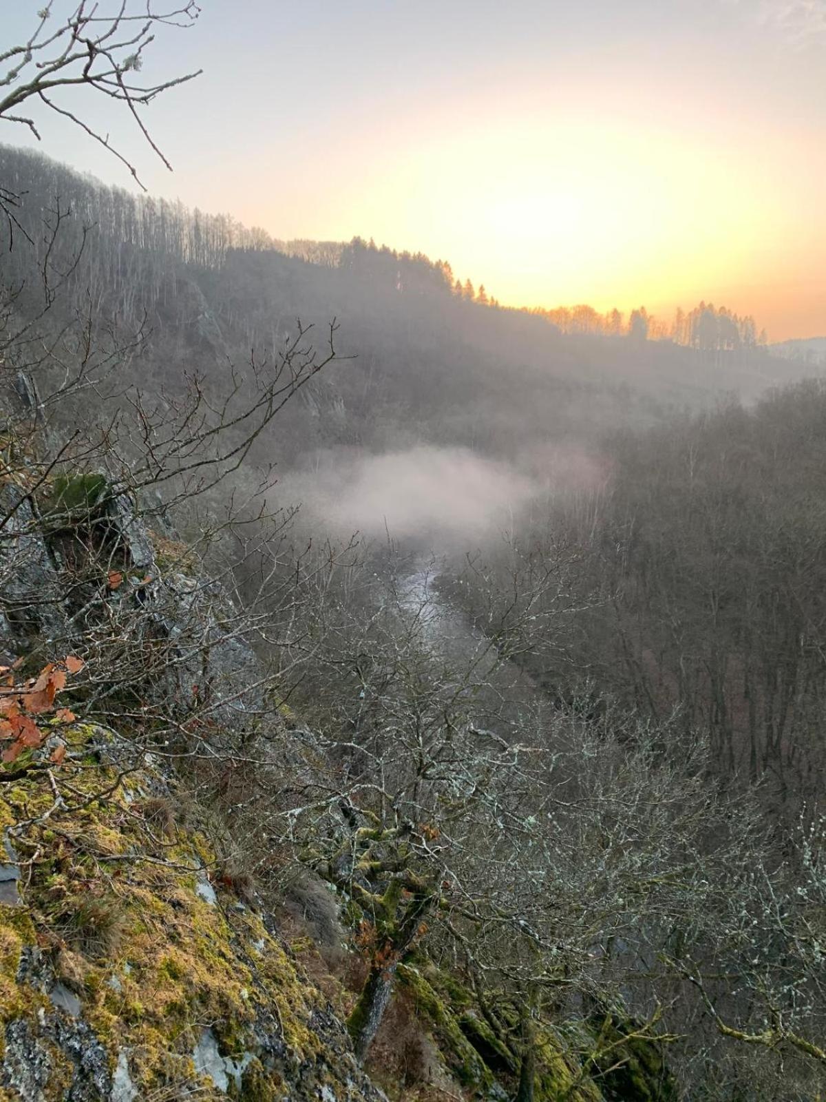 La chauve souris Home