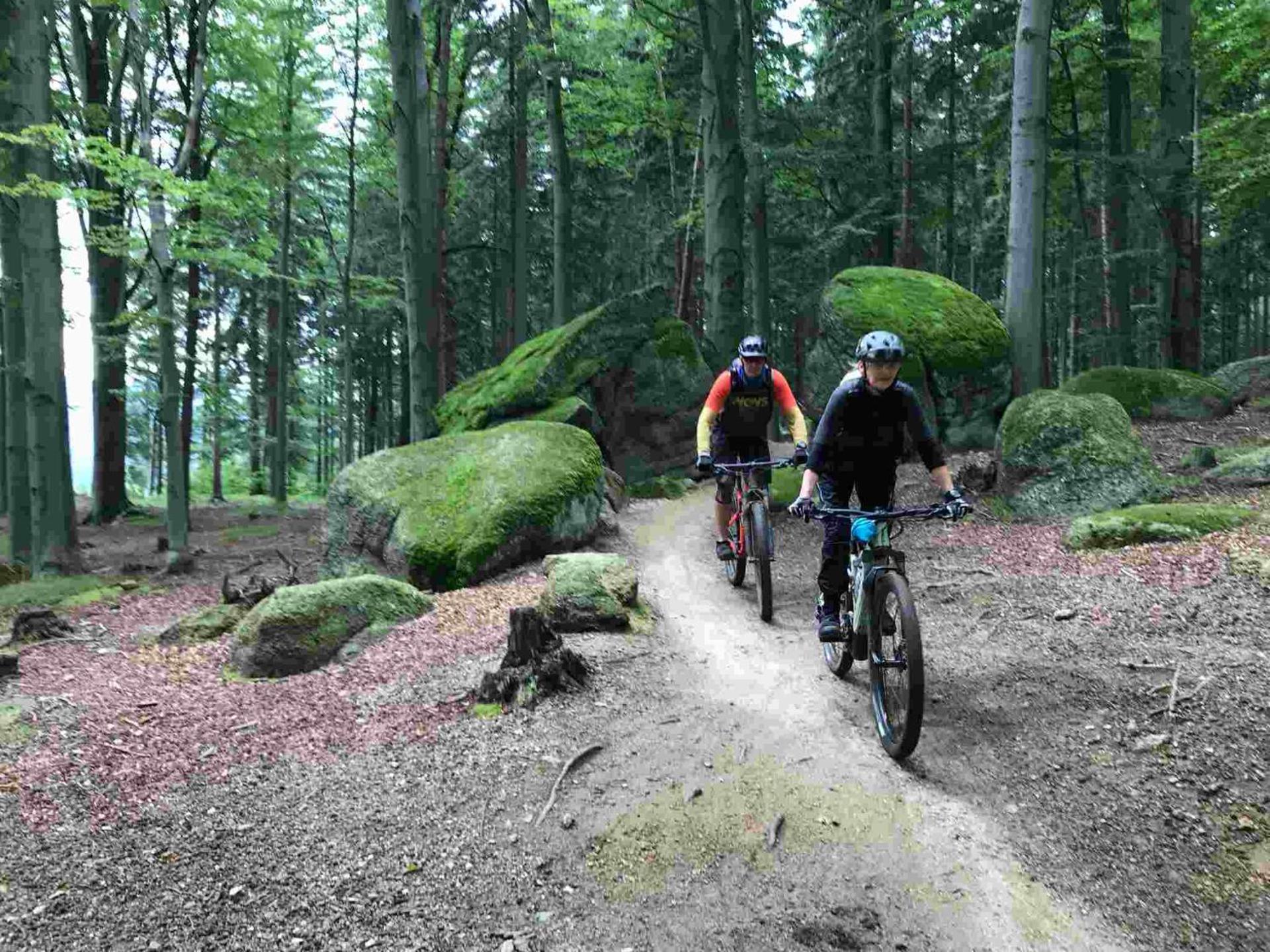 CHATA JIZERKÉ HORY ŠOLCŮV RYBNÍk