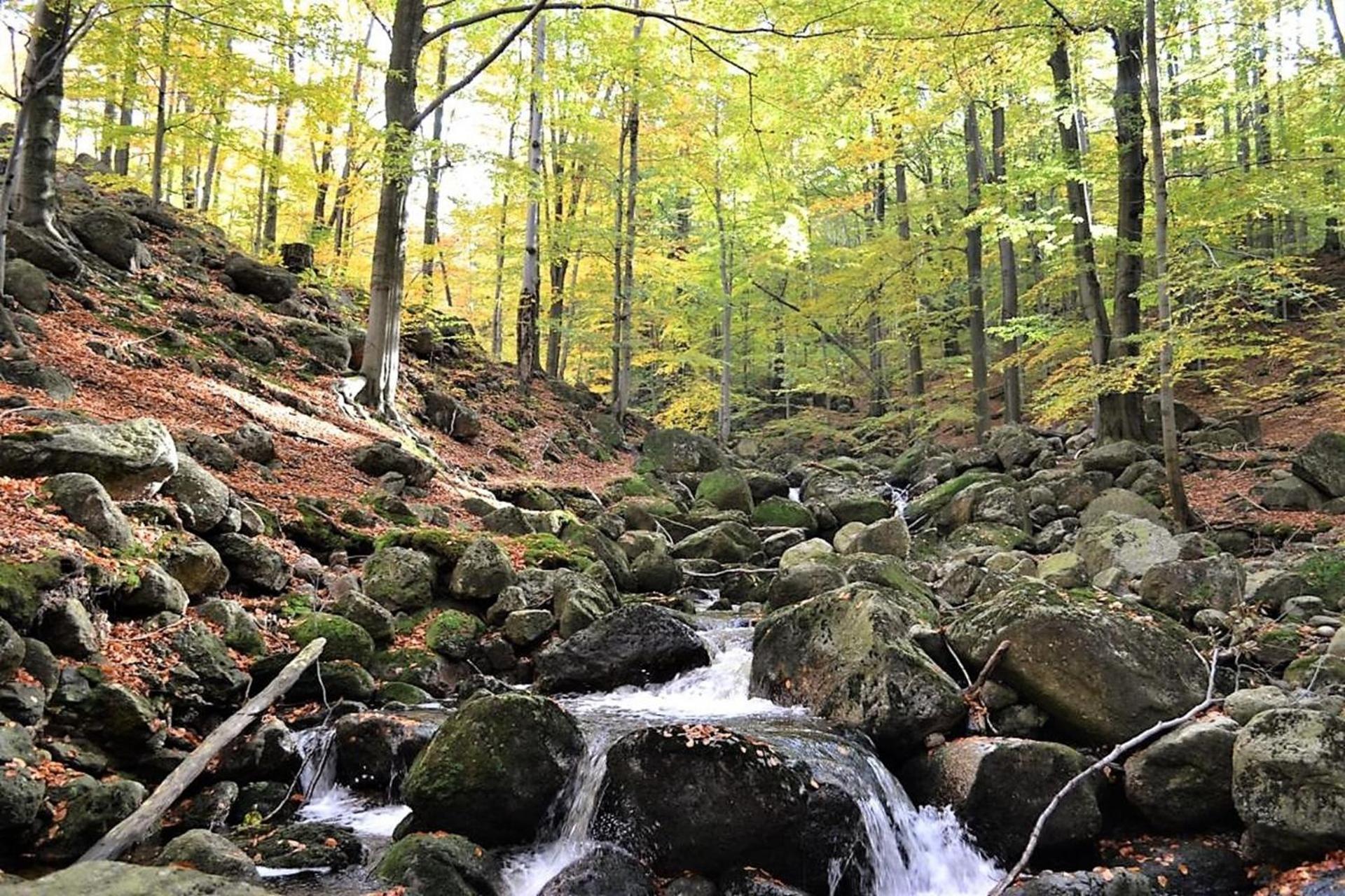 CHATA JIZERKÉ HORY ŠOLCŮV RYBNÍk