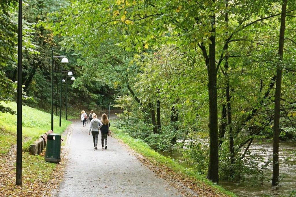 Oslo Center 74 Sq Big Apt&Central Station& Garage Parking