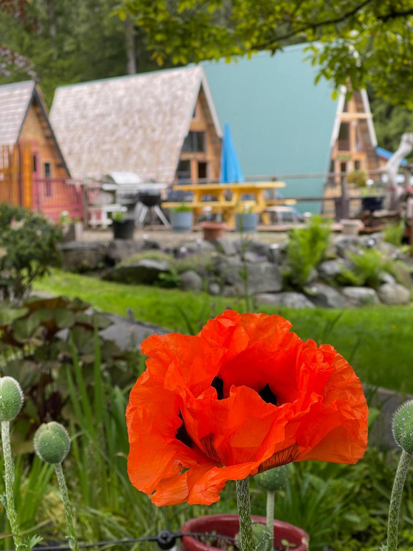 Gracies Grotto Cabin