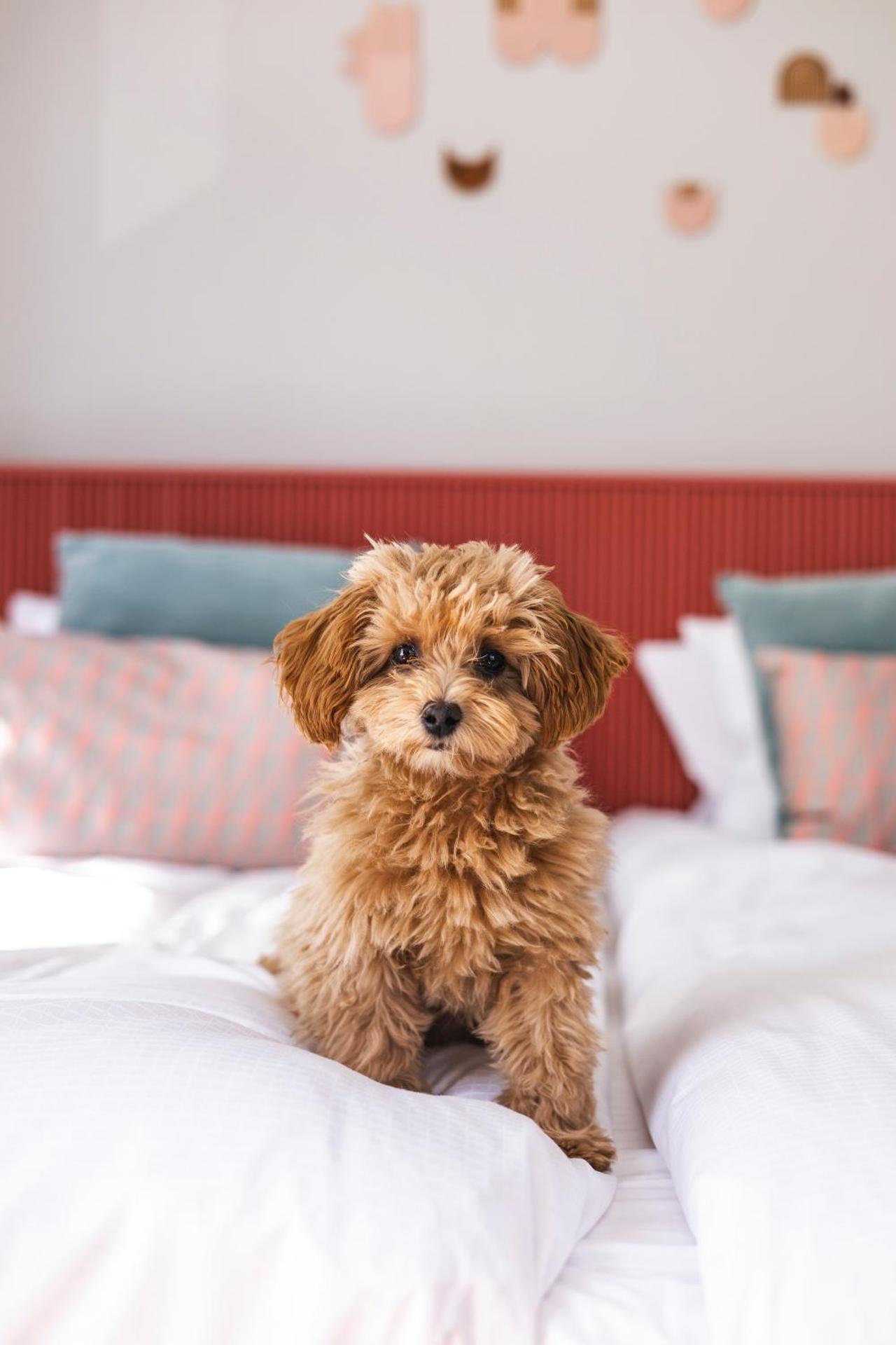 The Folks Hotel Konepaja