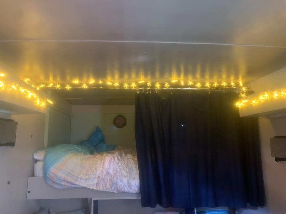 Solar Powered Hideaway converted horsebox