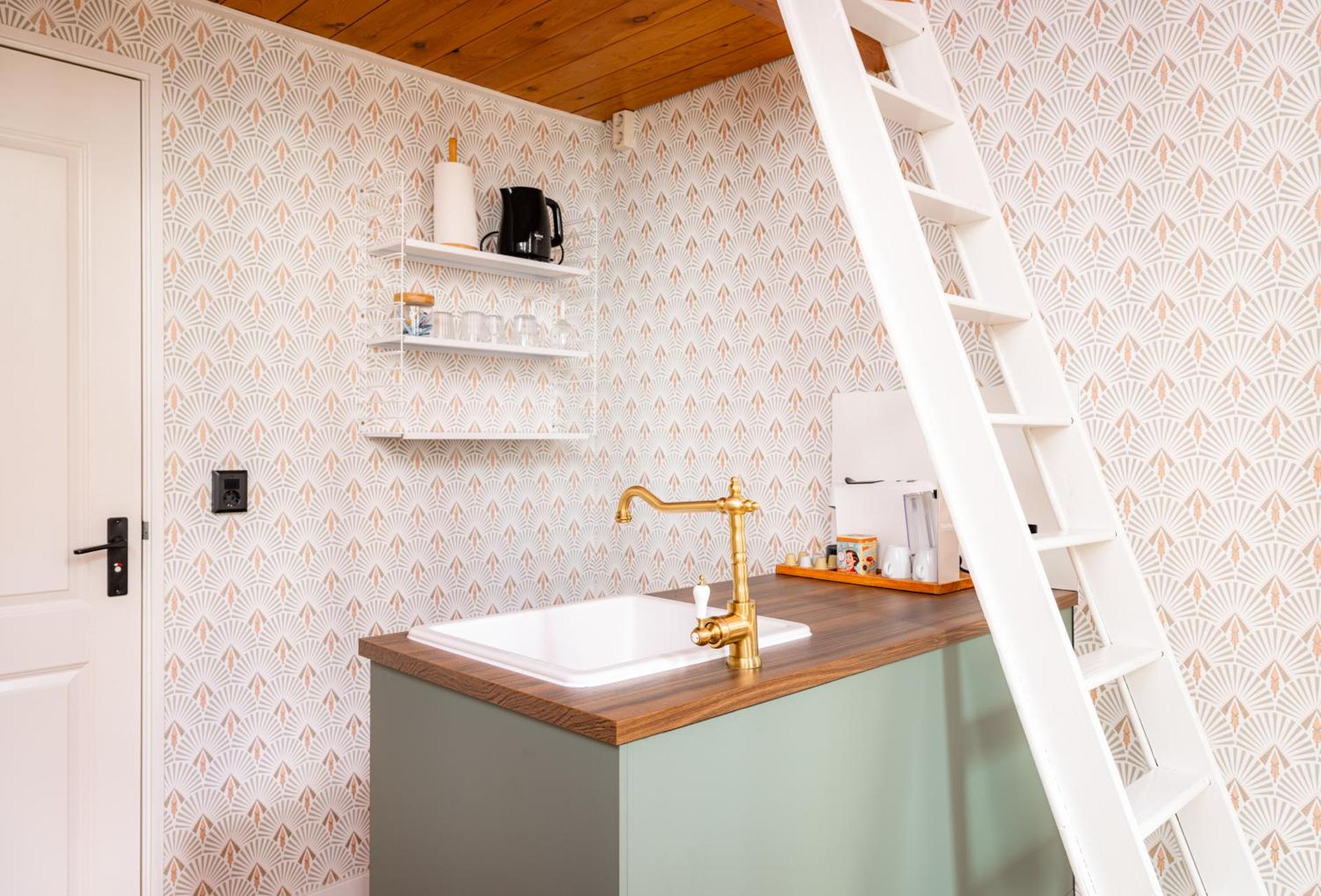 The Disco Duck B - city centre Zwolle