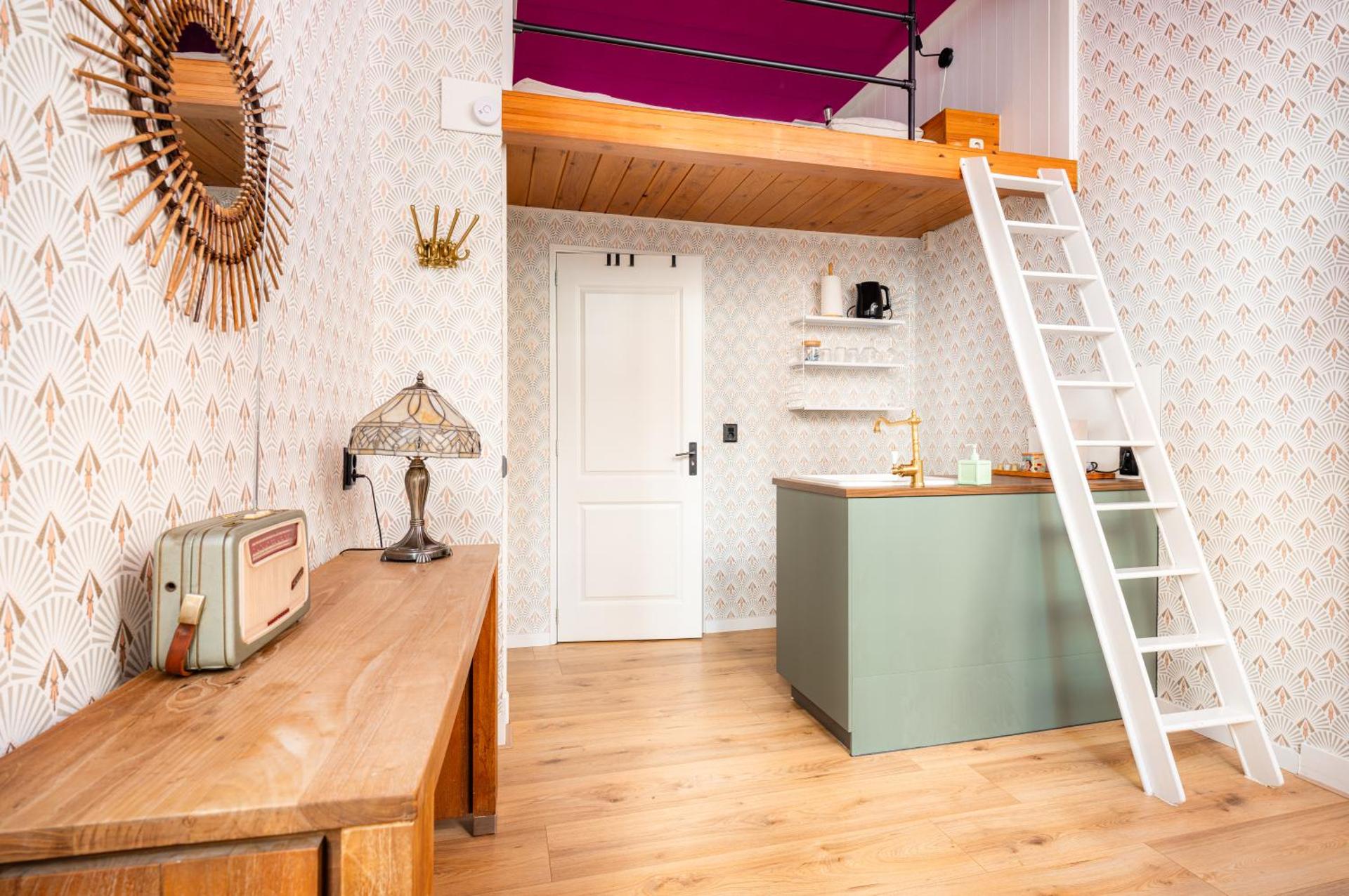 The Disco Duck B - city centre Zwolle