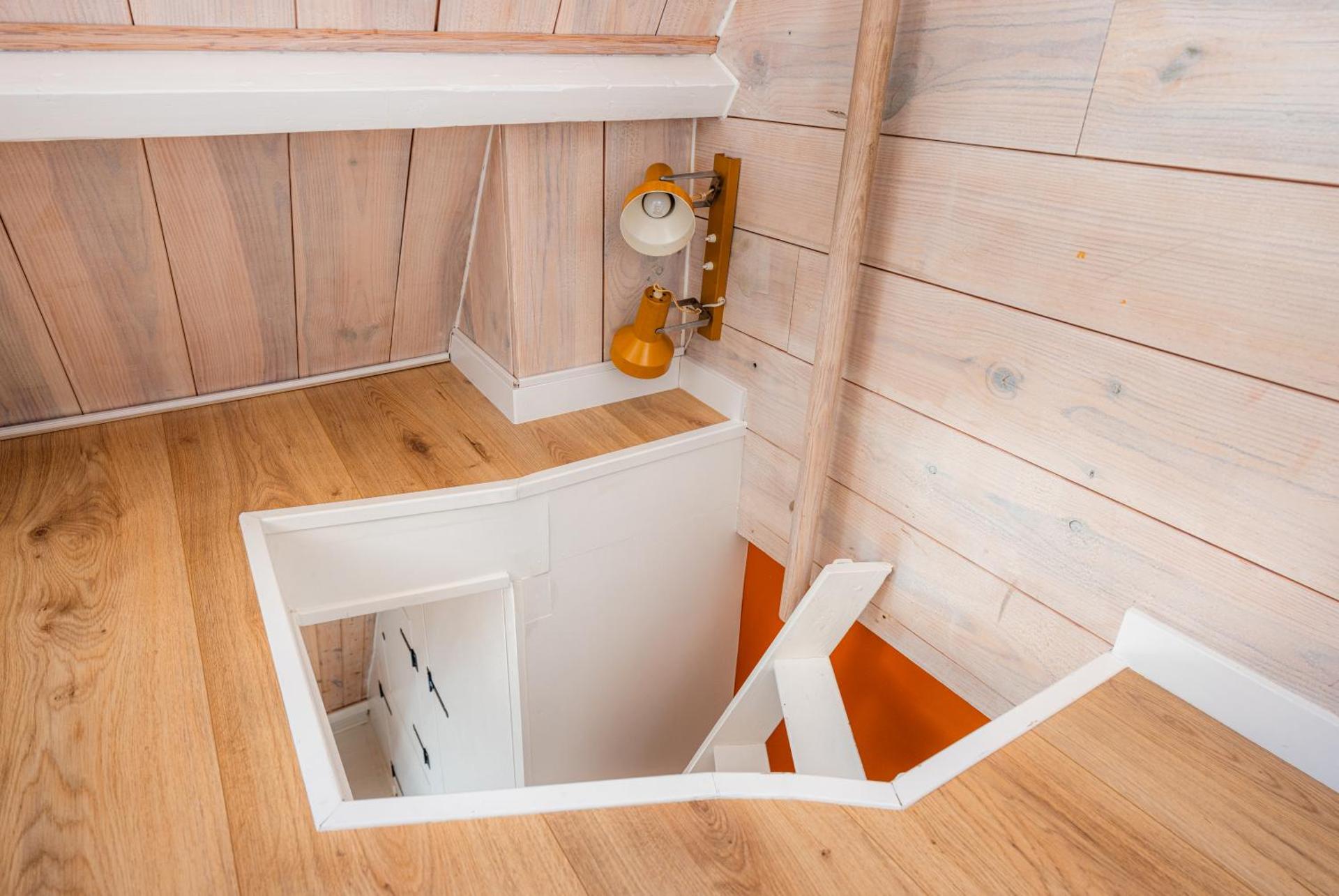 The Disco Duck B - city centre Zwolle