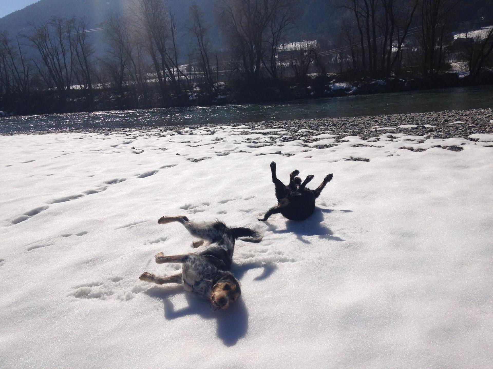 Ruhige Wohnung mit schönem Eigengarten in Seeboden am Millstättersee