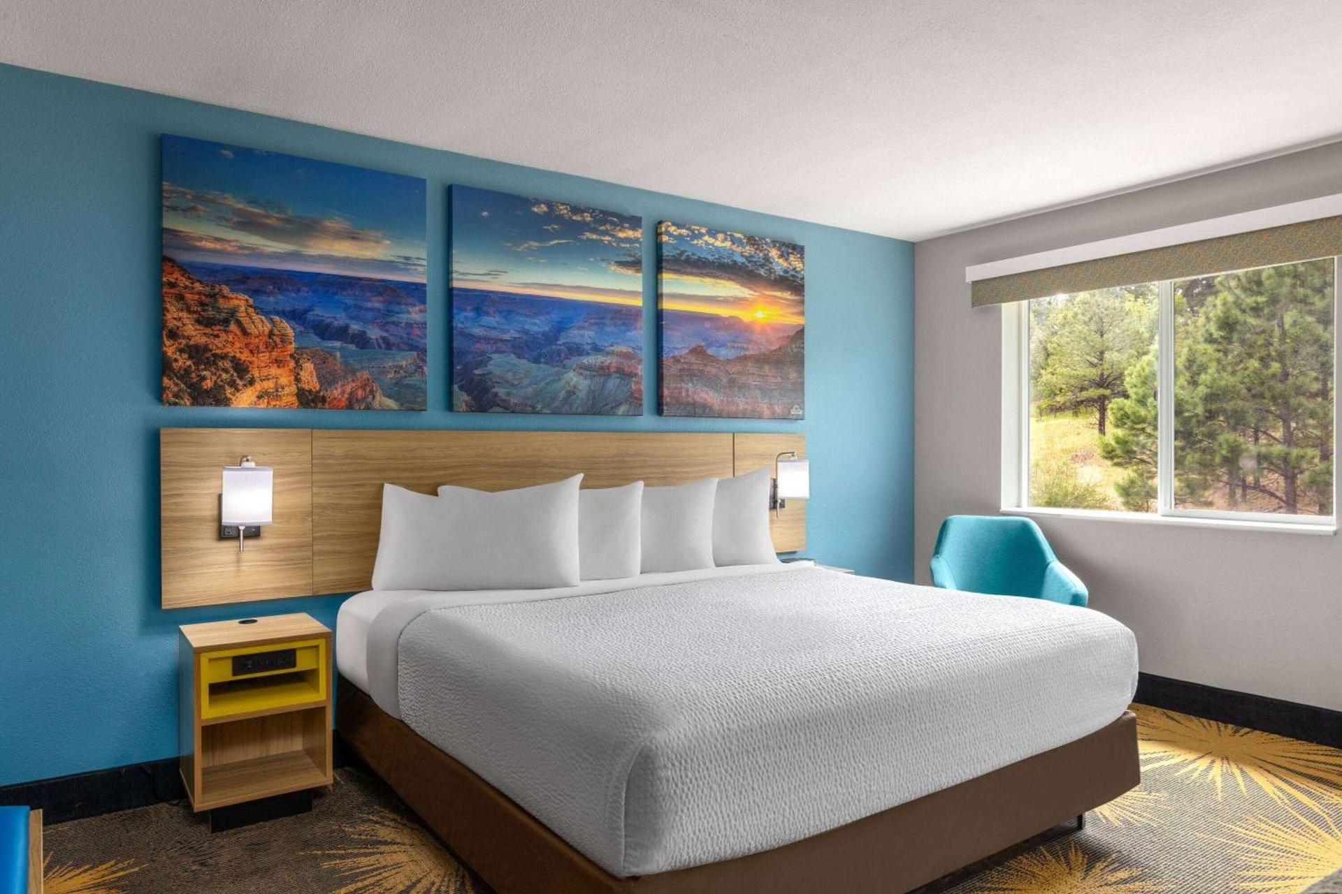 Photo of the whole room