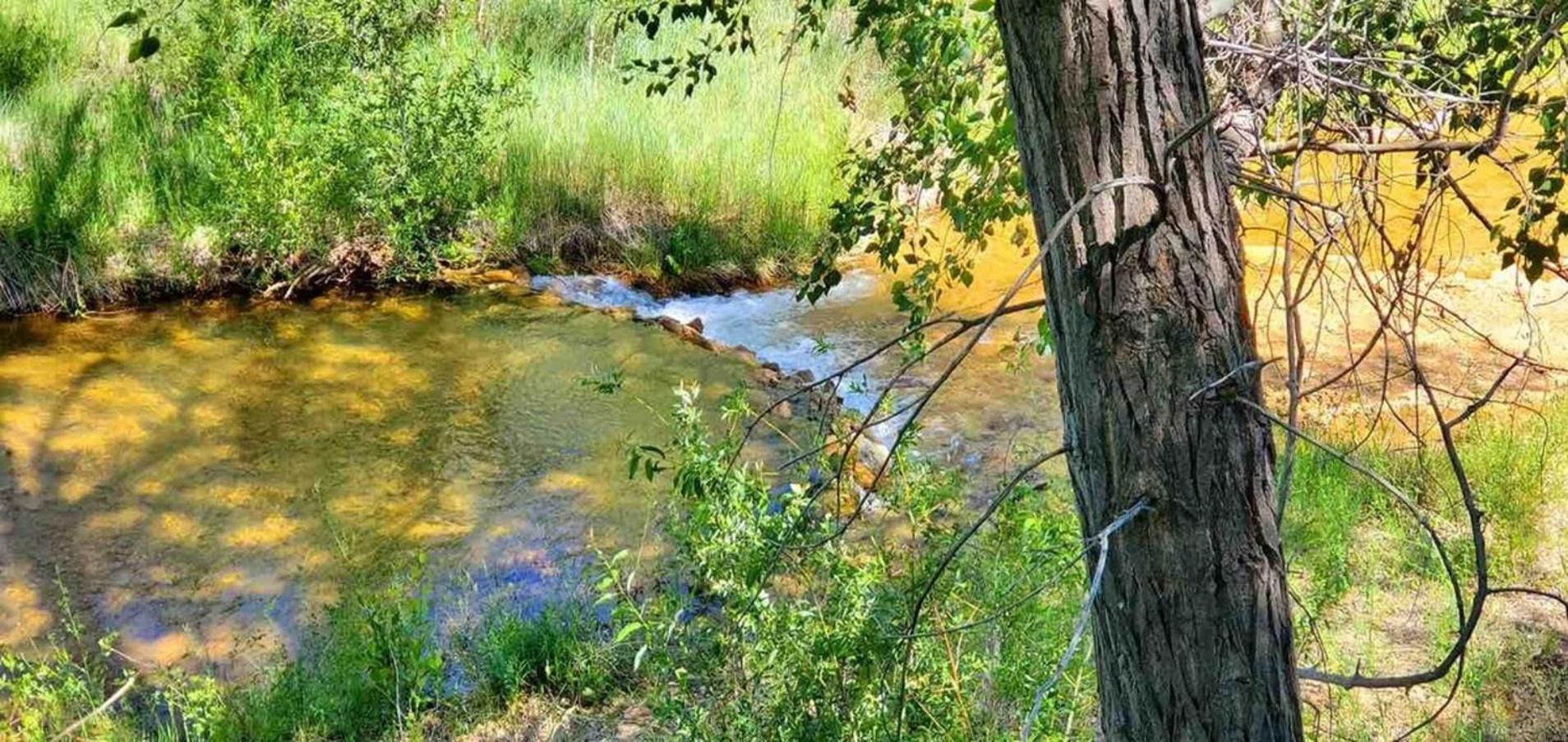 Virgin River Retreat East Zion & Bryce