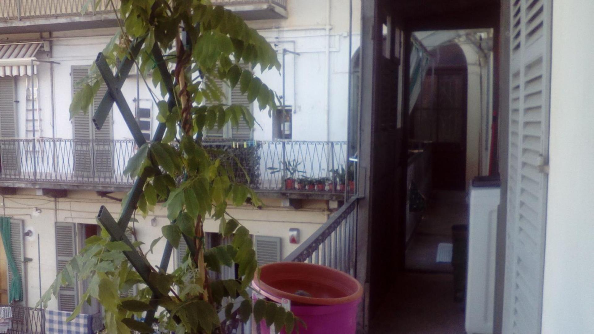 Inner courtyard view