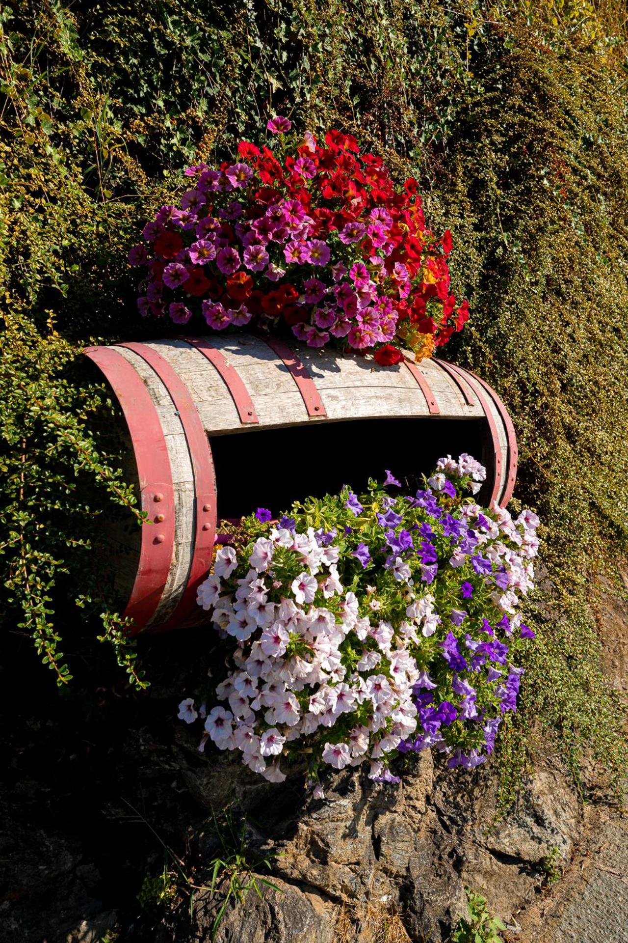 casa vacanza da ghislin