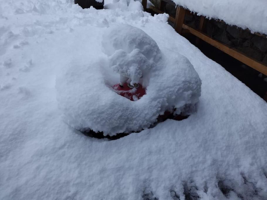 "Tiny Tenne" 15m2 im Altem Bergbauernhaus 1110m