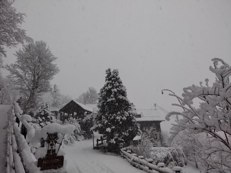 "Tiny Tenne" 15m2 im Altem Bergbauernhaus 1110m