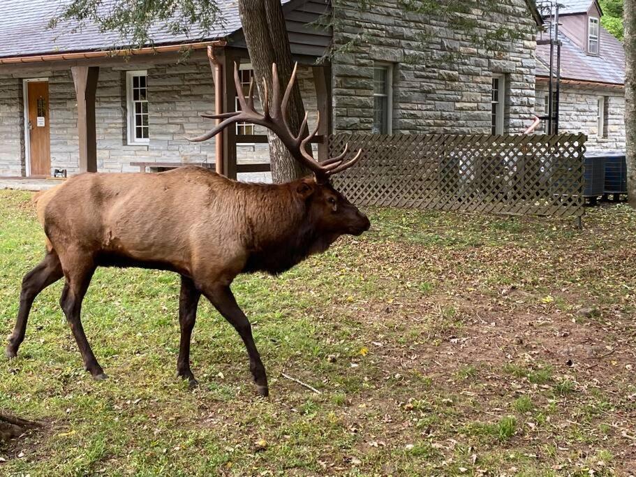 The Bartlett Apartment