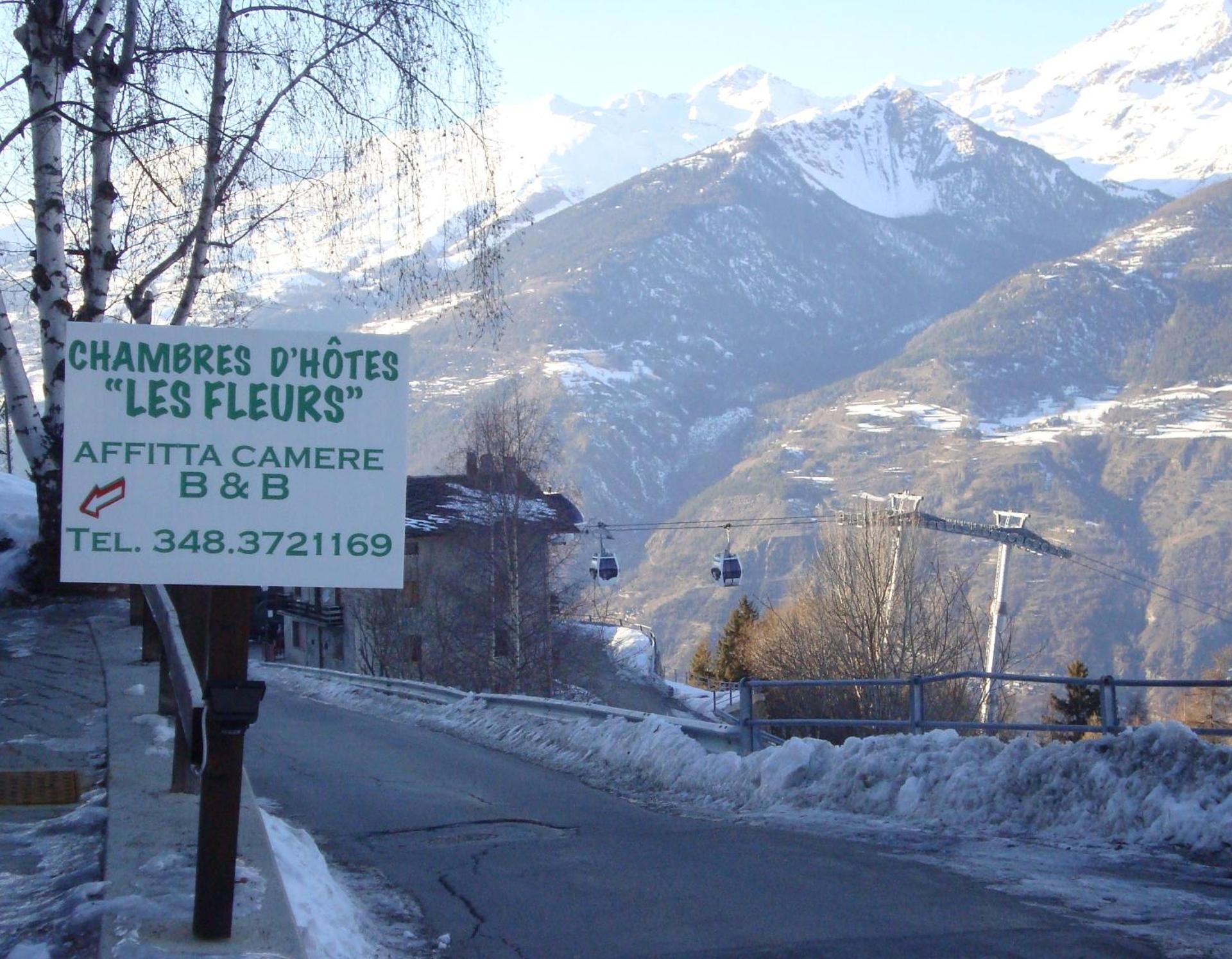 Logo/Certificate/Sign