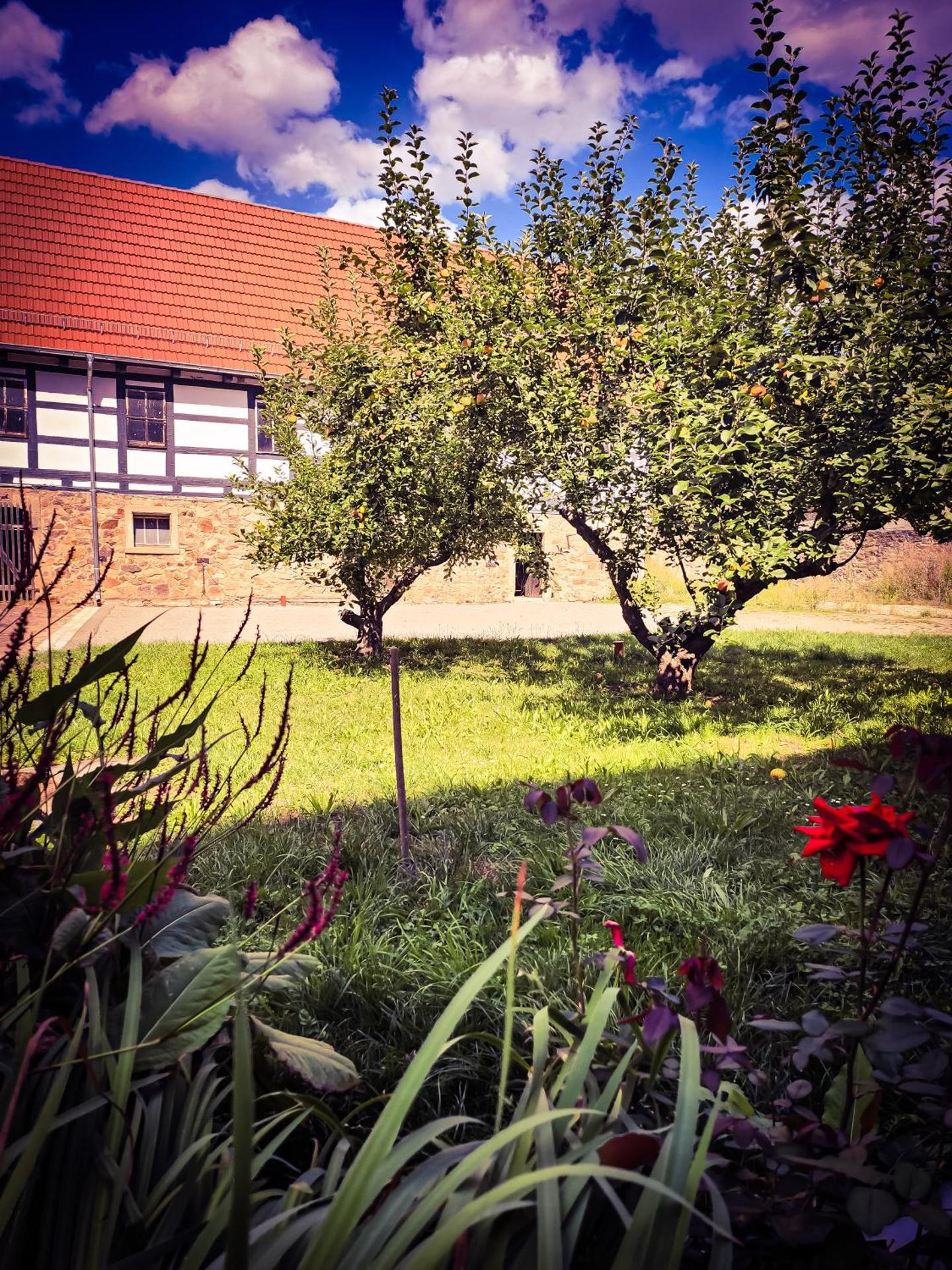 View (from property/room)