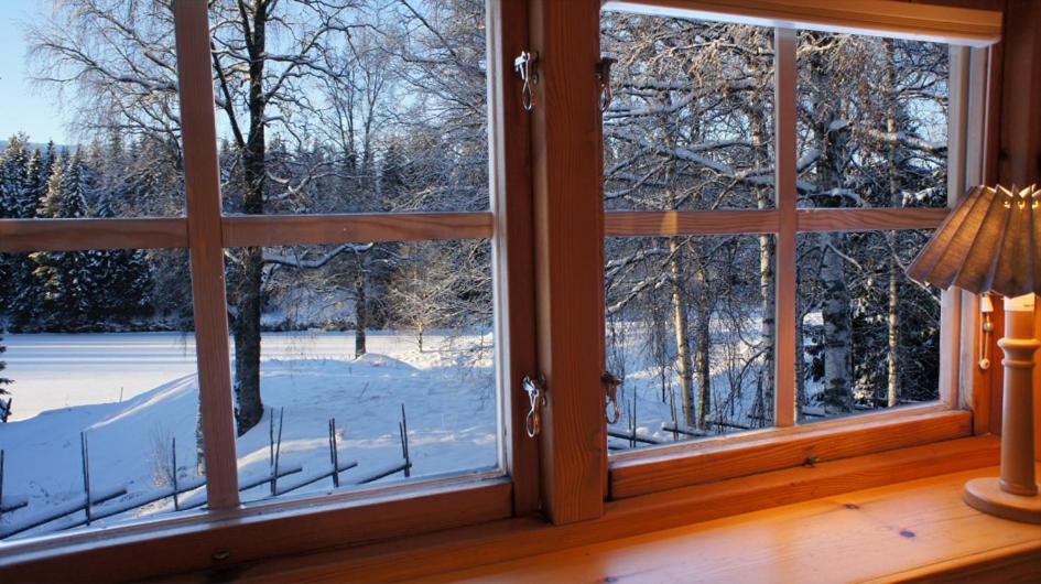 View (from property/room)