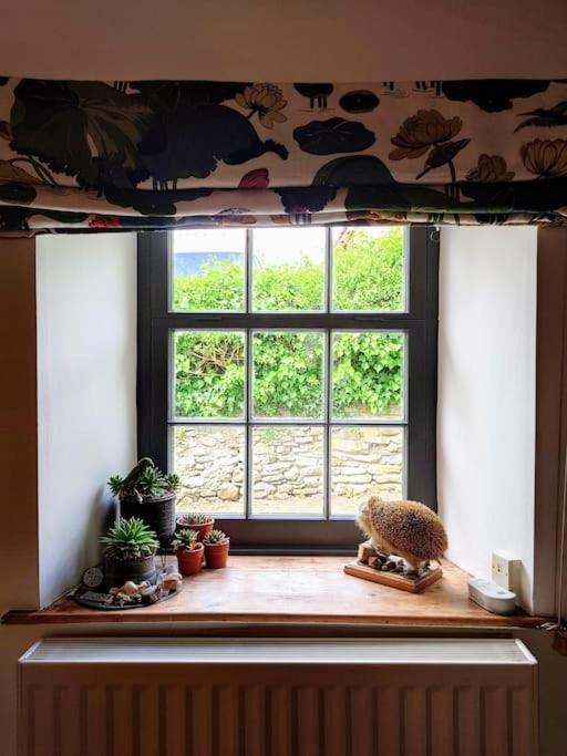 Cosy Welsh Town Cottage