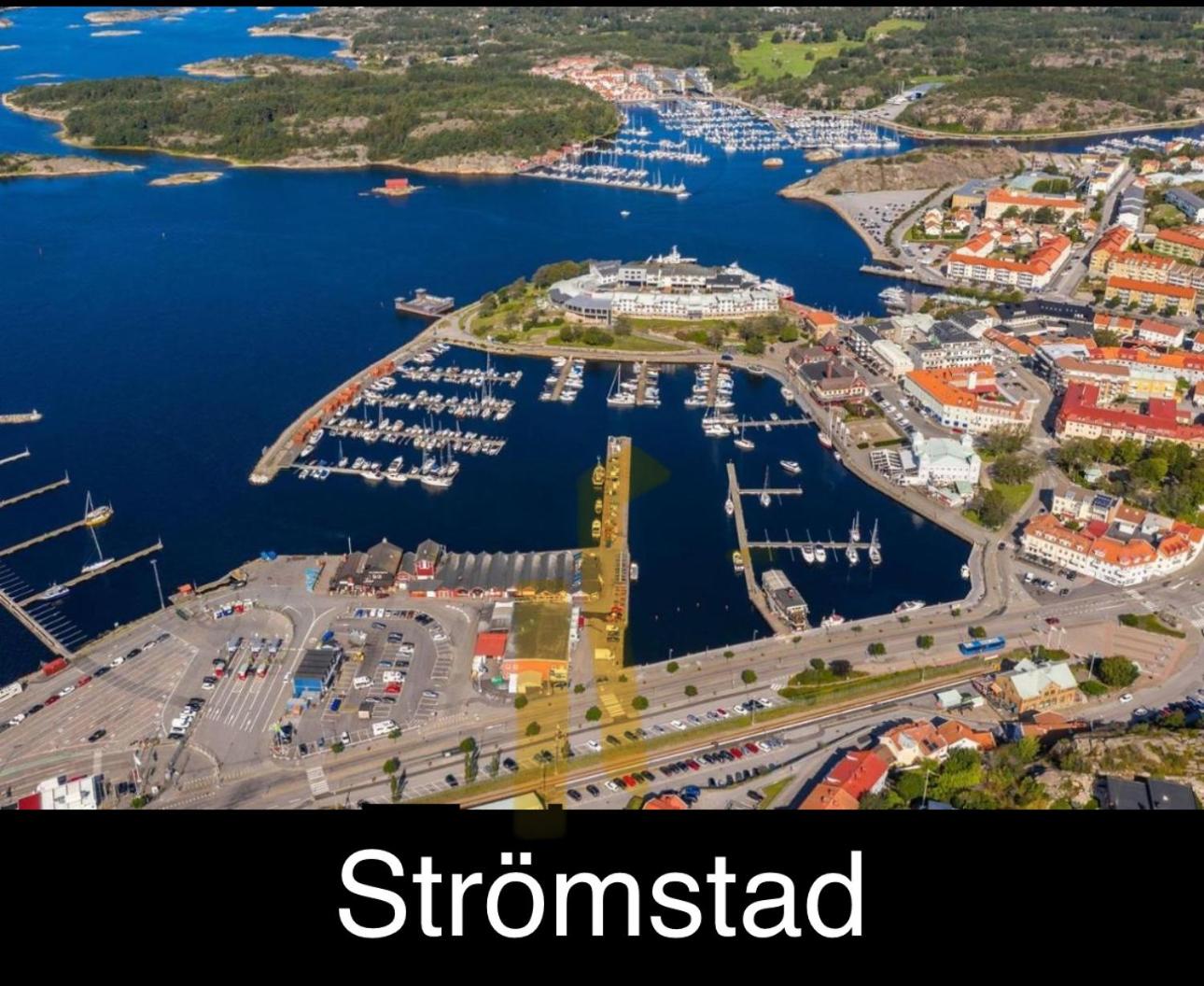 Green Forest Oasis & Sea