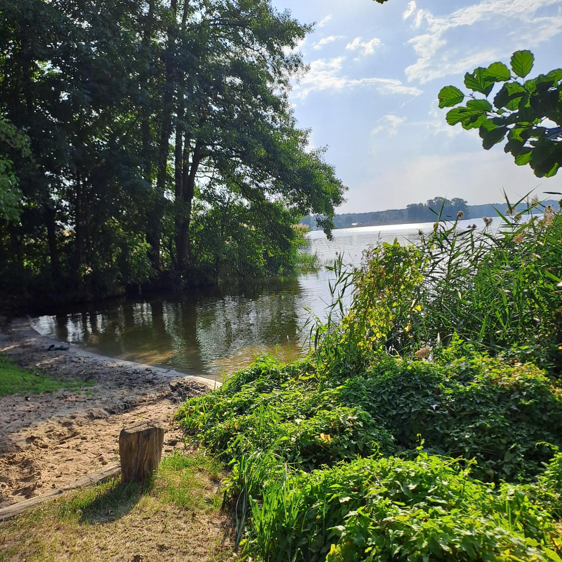 Häuschen am Waldrand