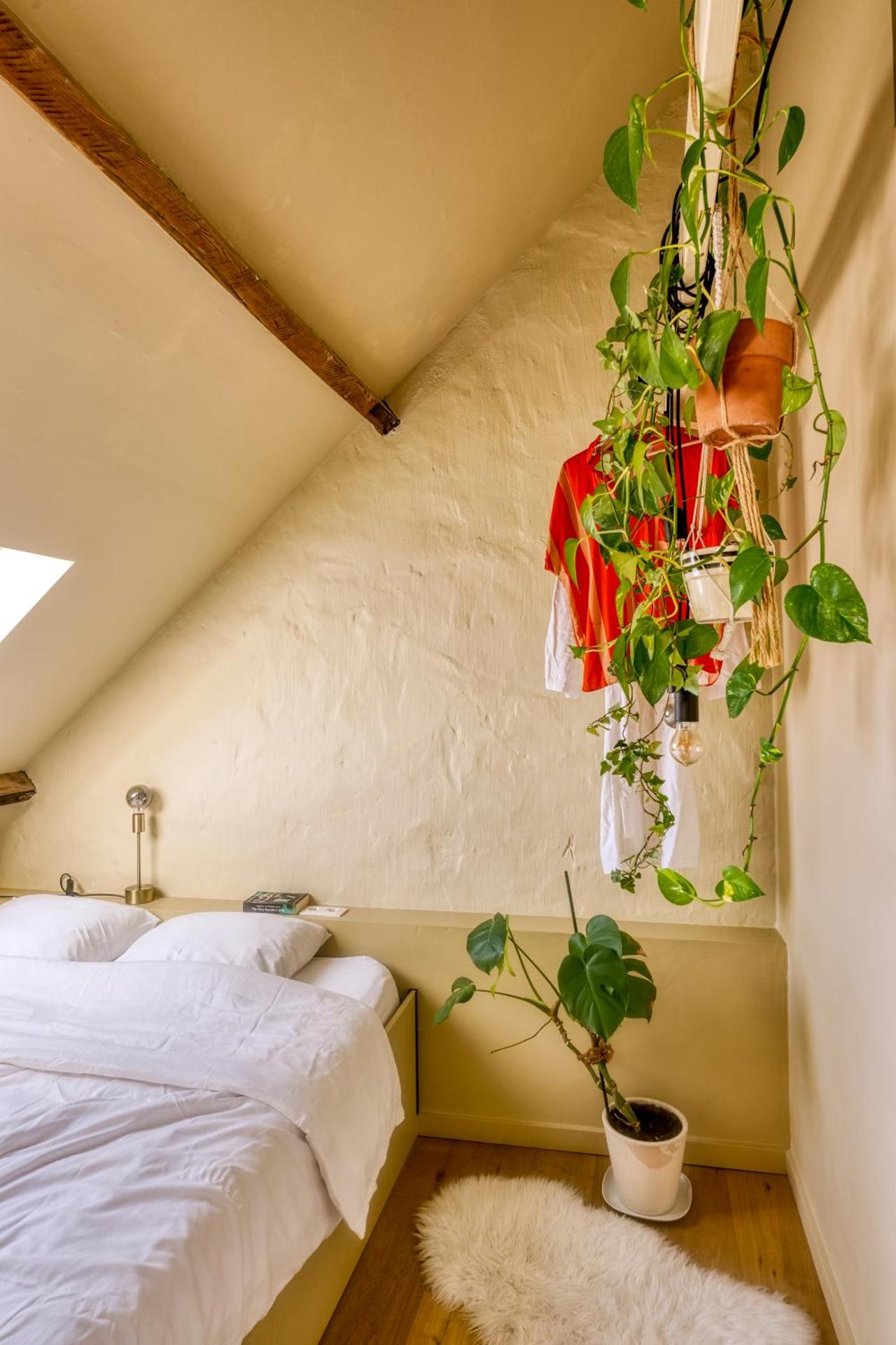 RUIMTEZICHT cosy appartement with sauna