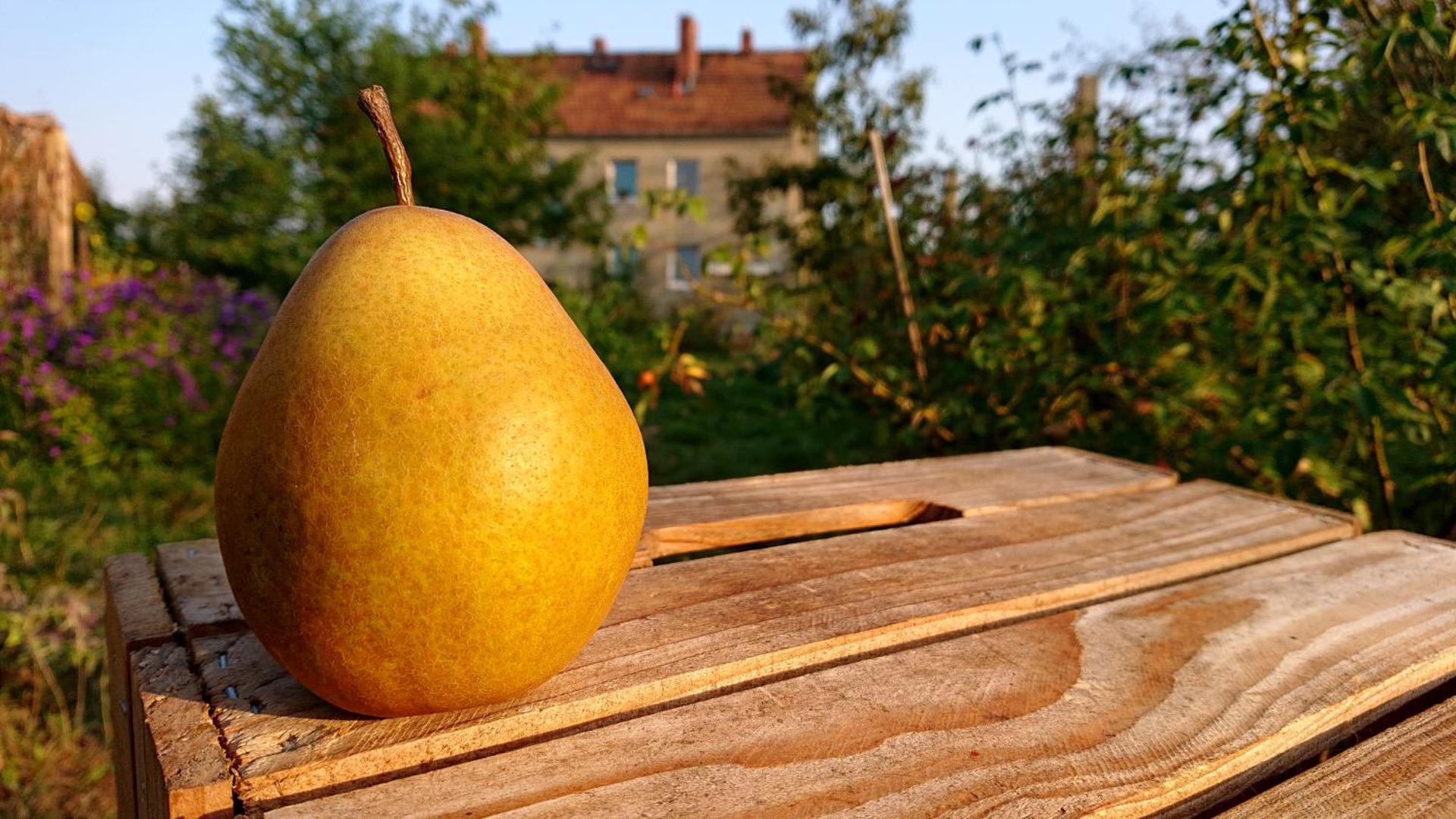 Ferienwohnung Butterbirne