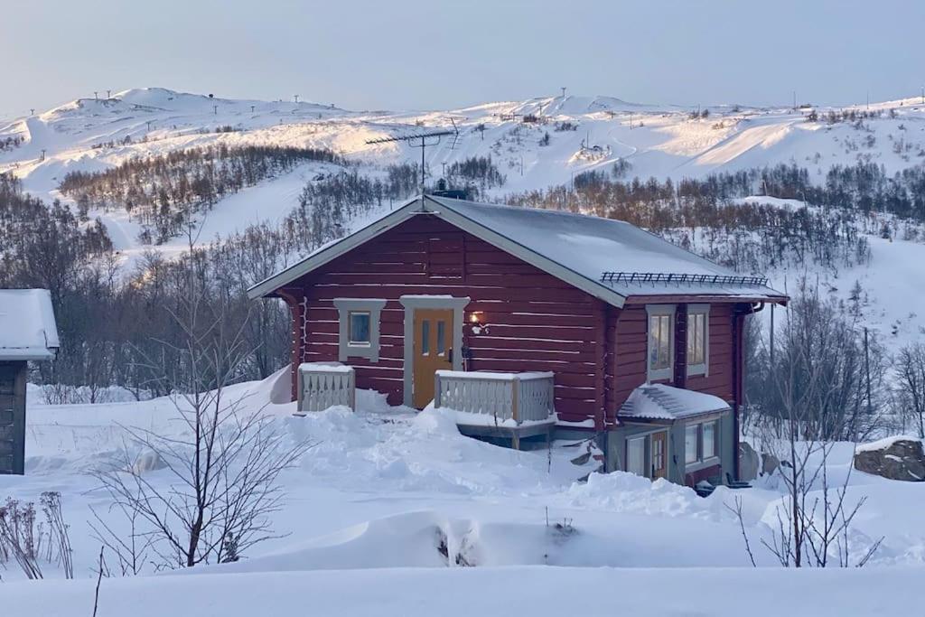 Mountain views Fjällbjörkstigen