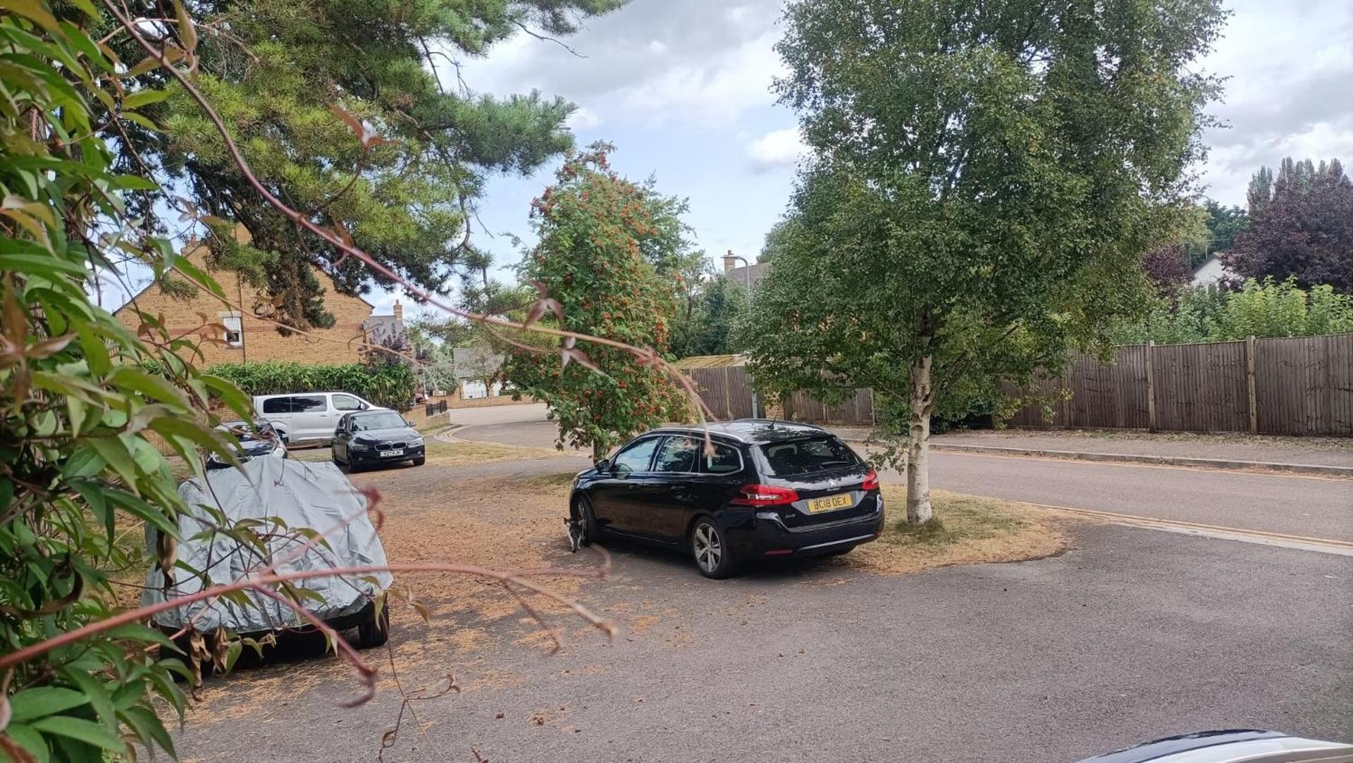 Spacious 2 bedroom apartment