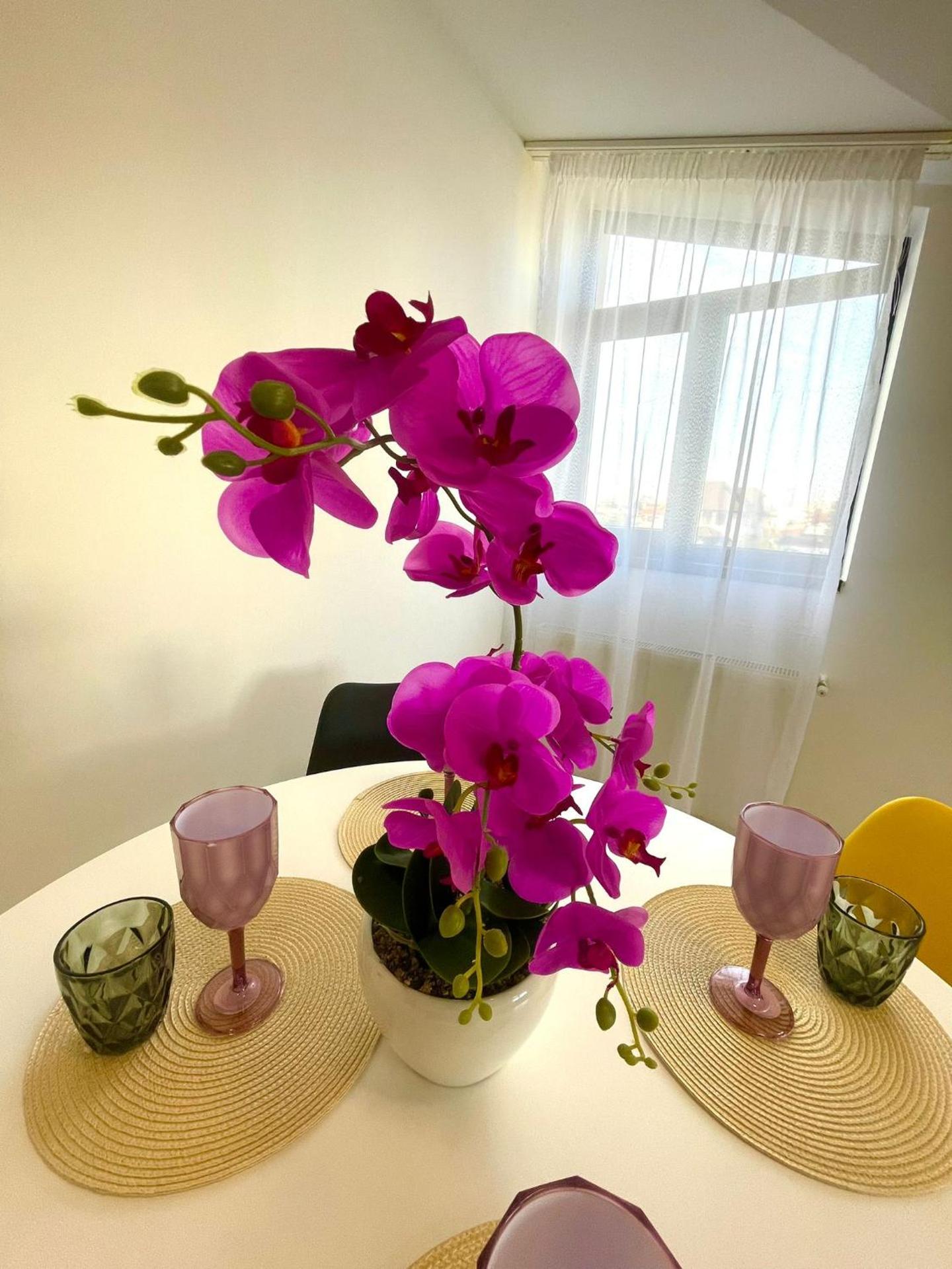 Residence 7 De Lux !