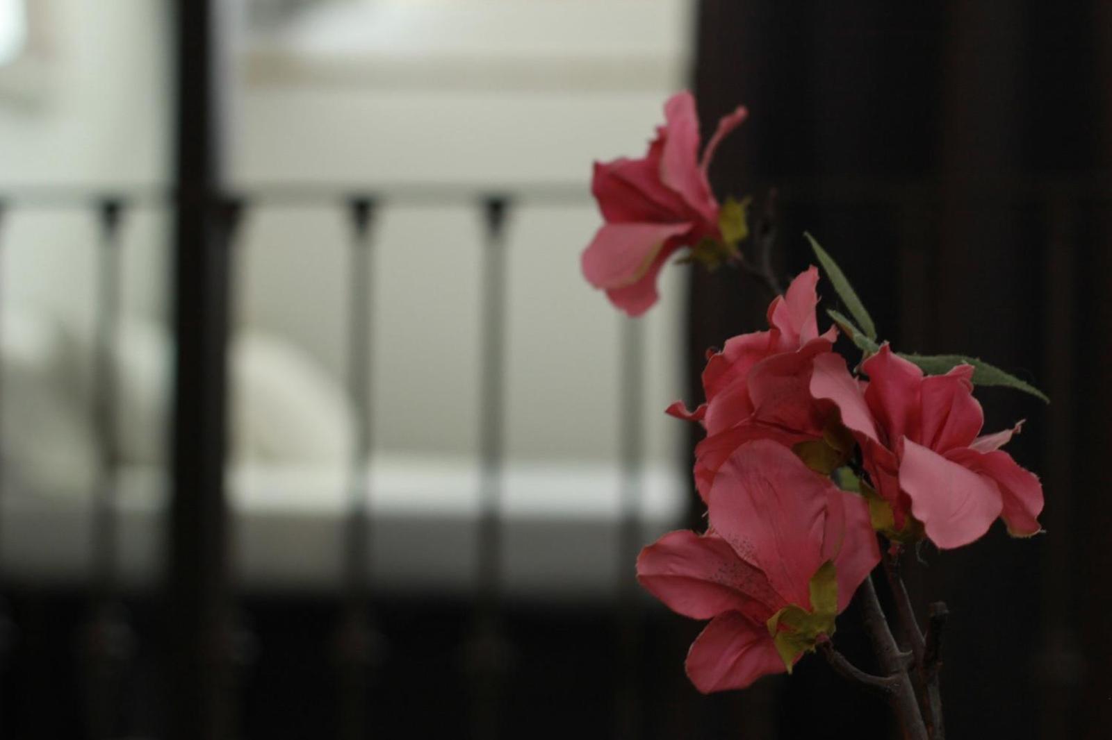 LOFT SUL FIUME center home