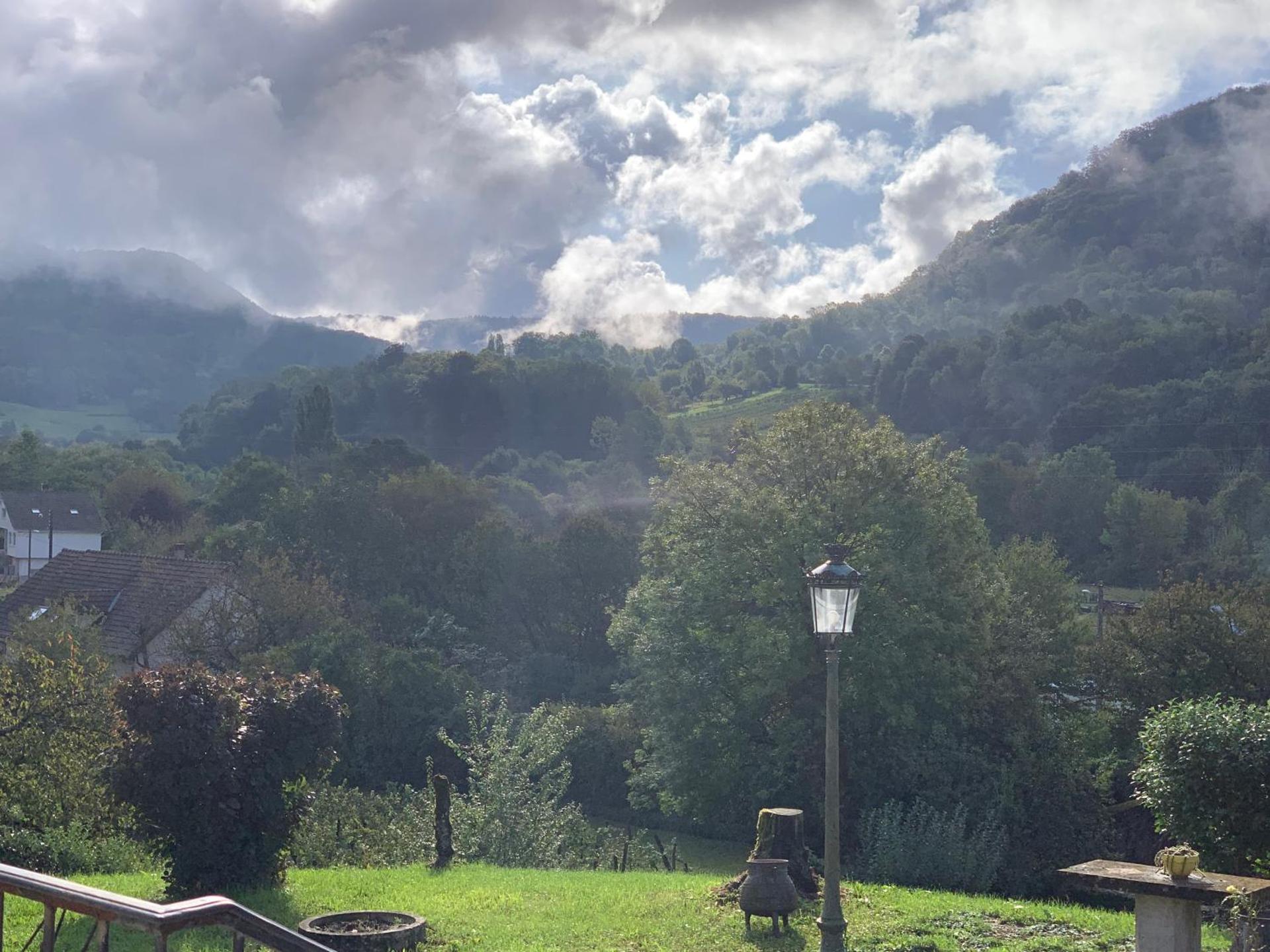 Longue Vue en Arbois