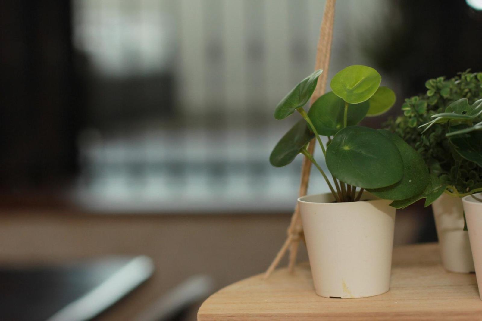 LOFT SUL FIUME center home